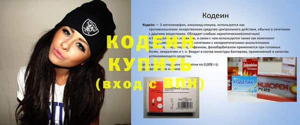амф Осташков