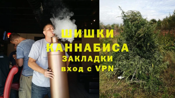 амф Осташков